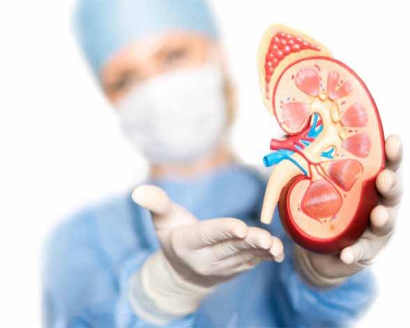 kidney transplant | Best Nephrologist in Delhi